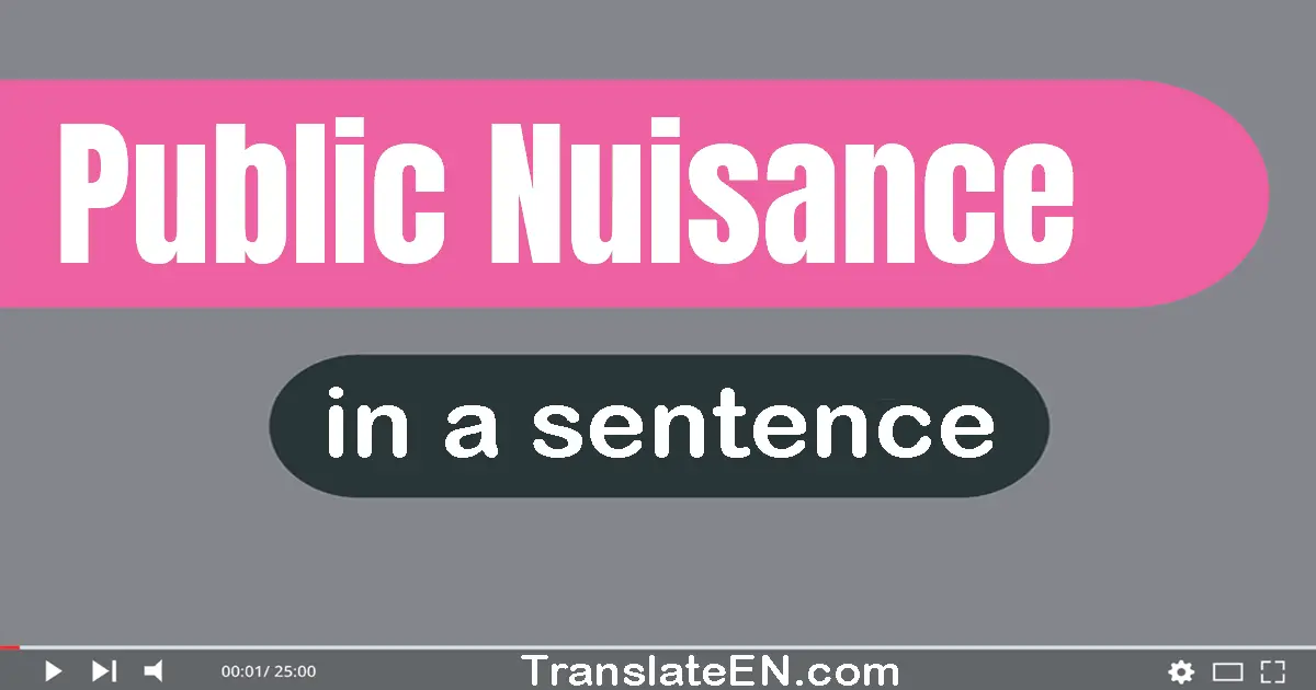 Public Nuisance in a sentence