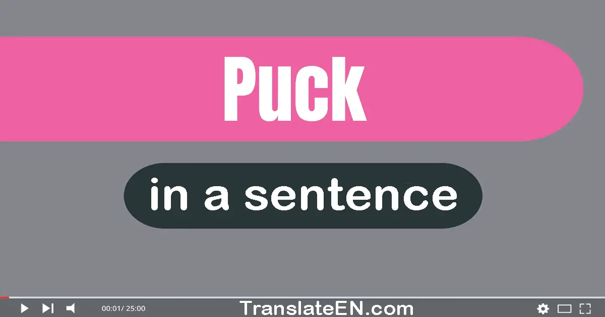 Puck in a sentence