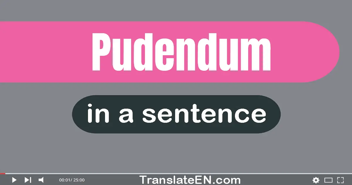 Pudendum in a sentence