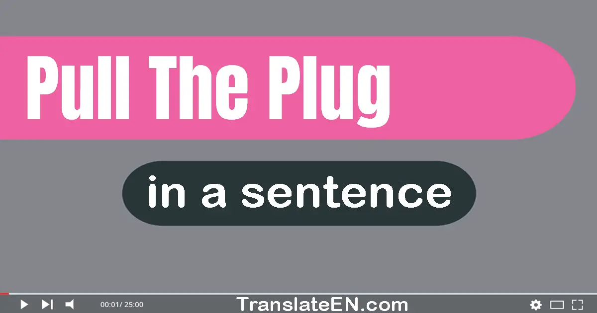 Use "pull the plug" in a sentence | "pull the plug" sentence examples