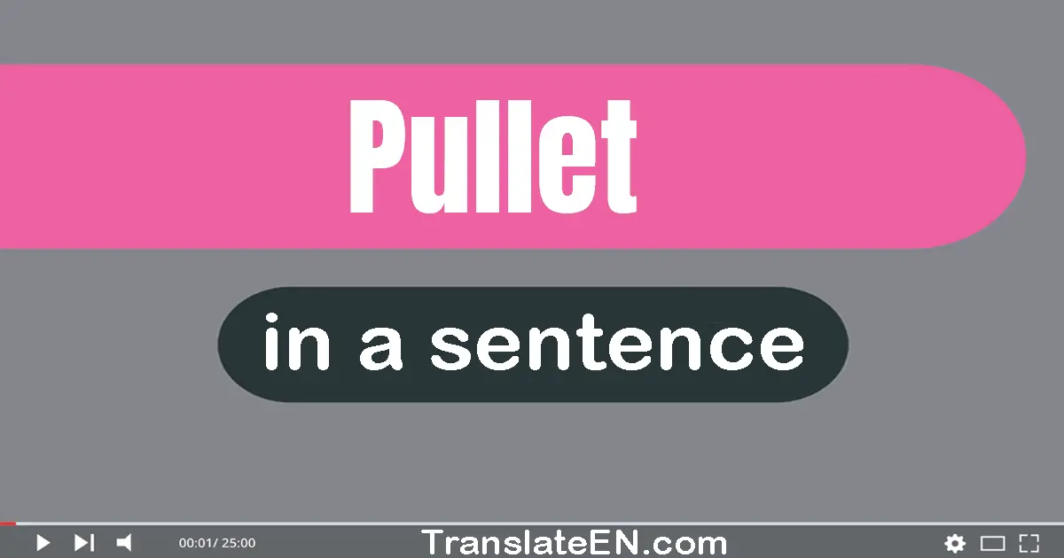 Use "pullet" in a sentence | "pullet" sentence examples