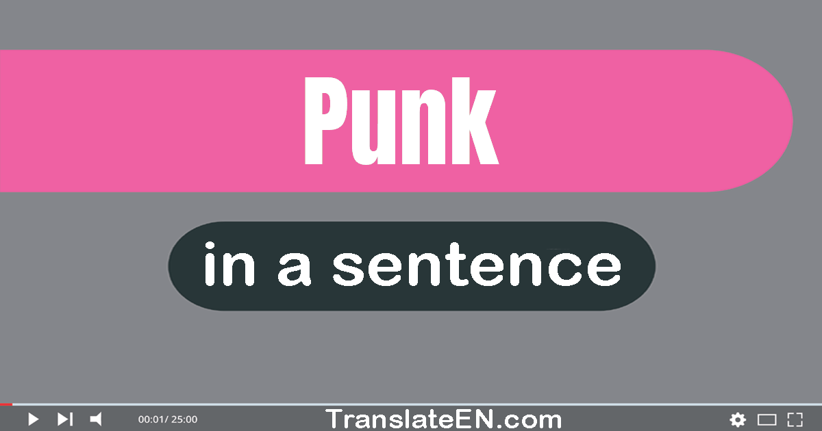 Use "punk" in a sentence | "punk" sentence examples
