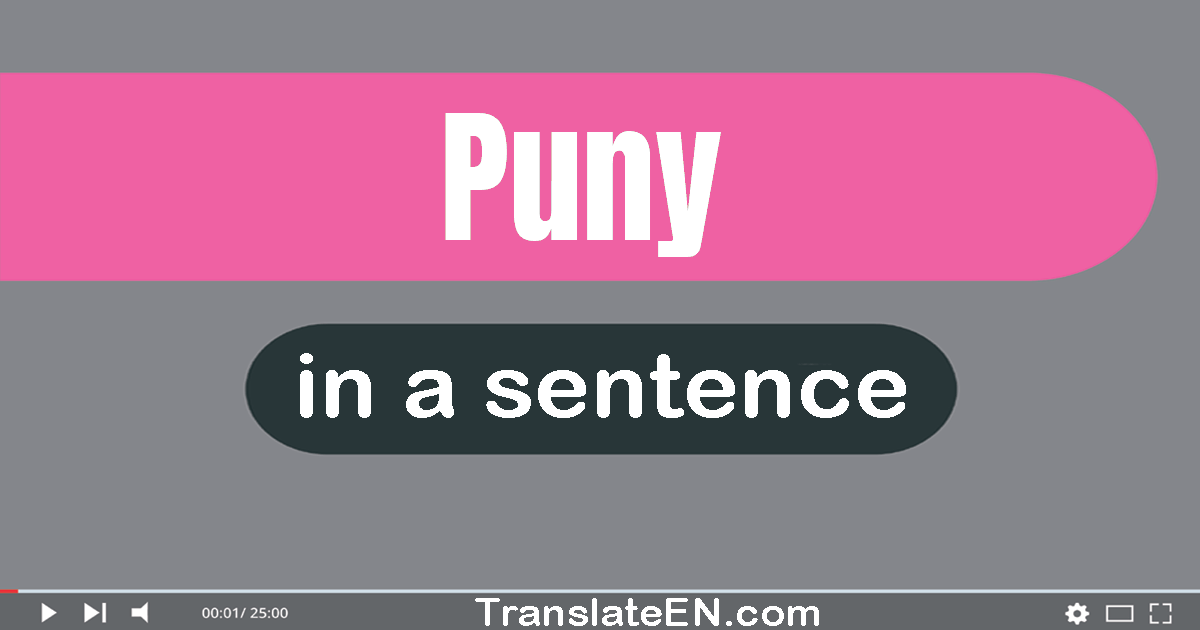 Use "puny" in a sentence | "puny" sentence examples