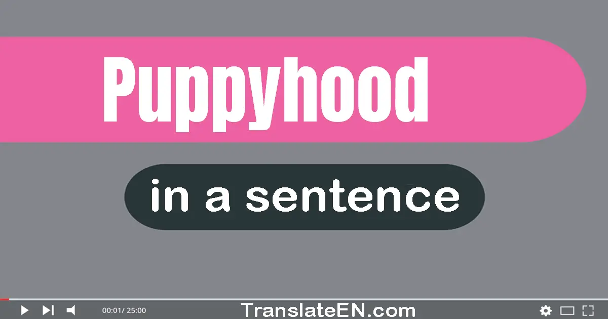 Use "puppyhood" in a sentence | "puppyhood" sentence examples