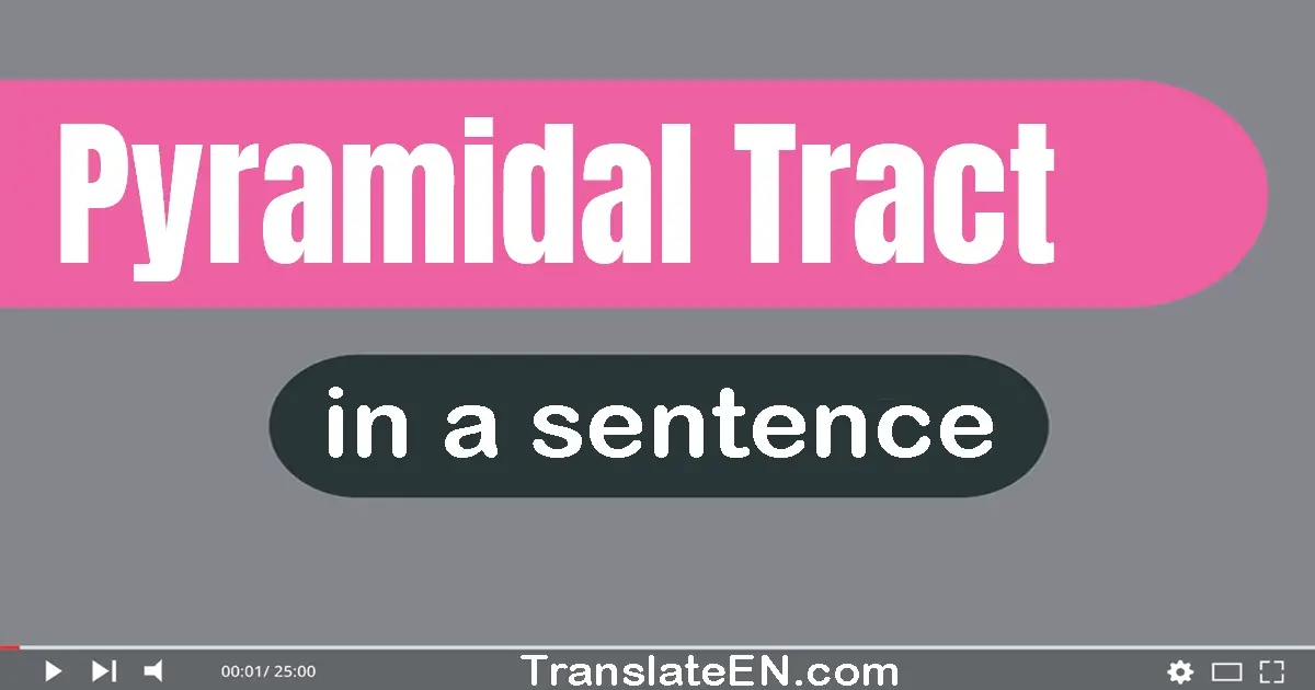 Pyramidal Tract in a sentence