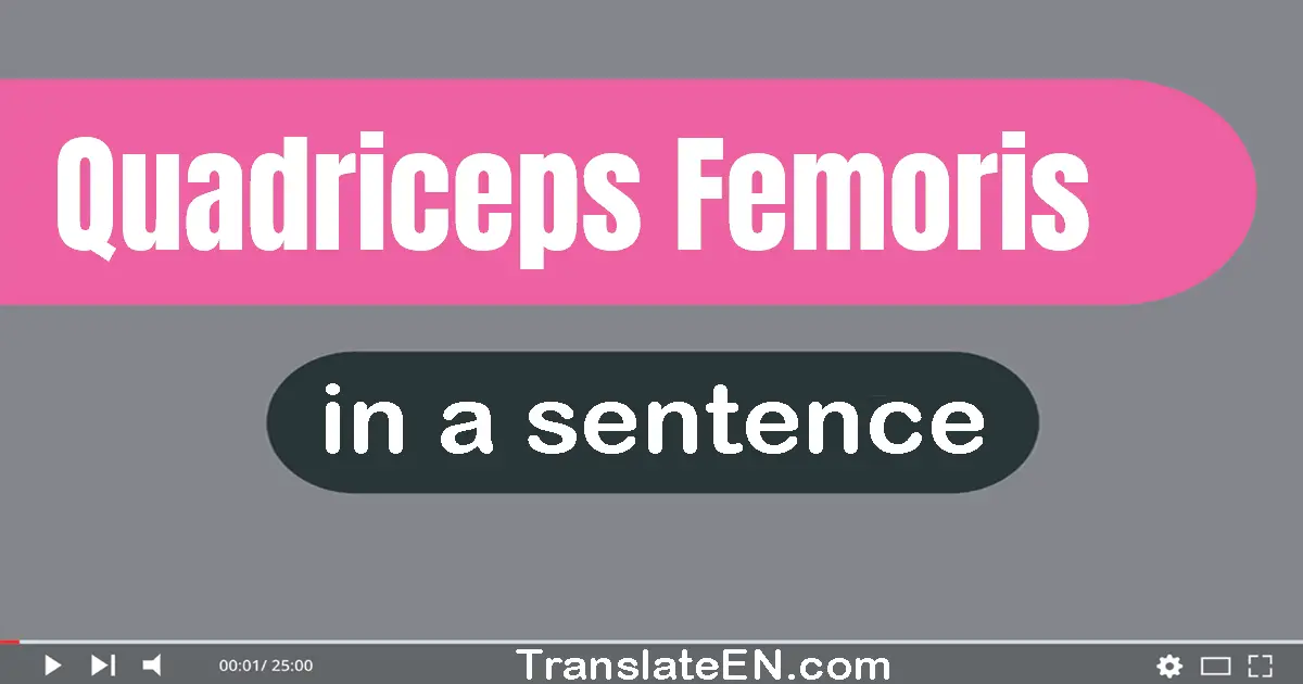 Use "quadriceps femoris" in a sentence | "quadriceps femoris" sentence examples