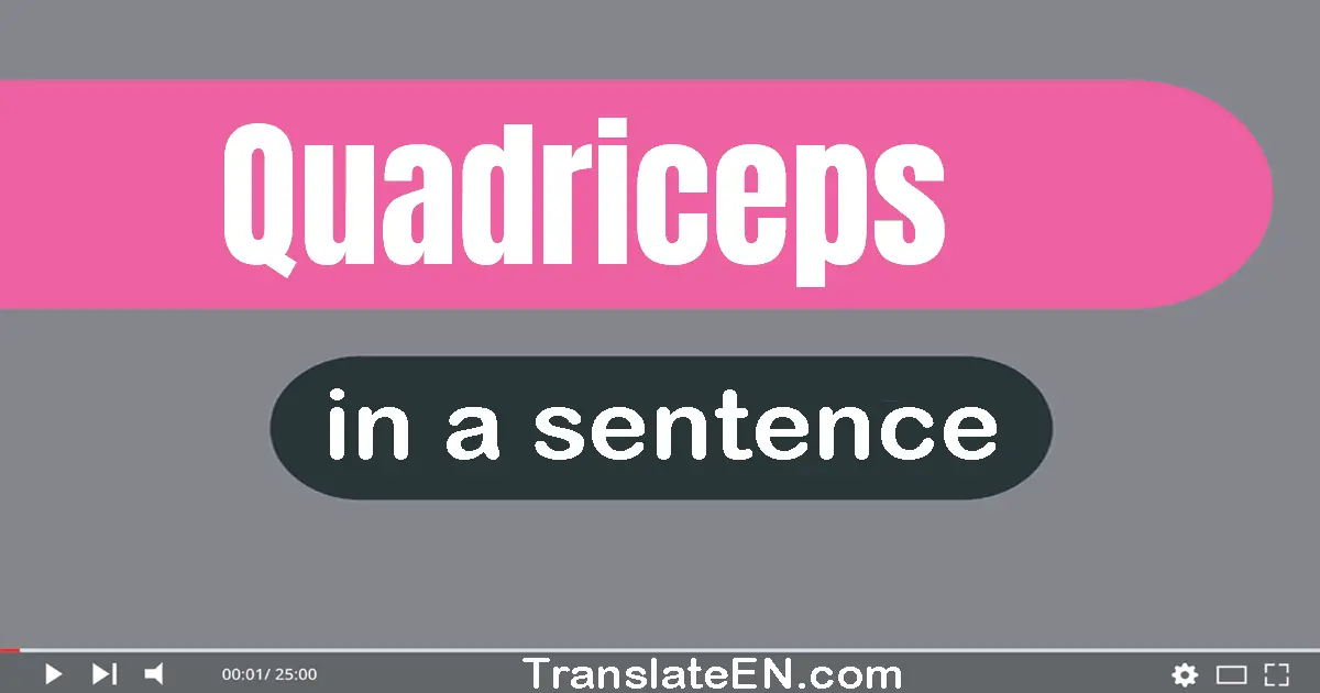 Use "quadriceps" in a sentence | "quadriceps" sentence examples