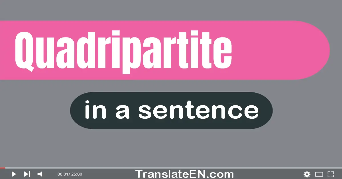 Use "quadripartite" in a sentence | "quadripartite" sentence examples