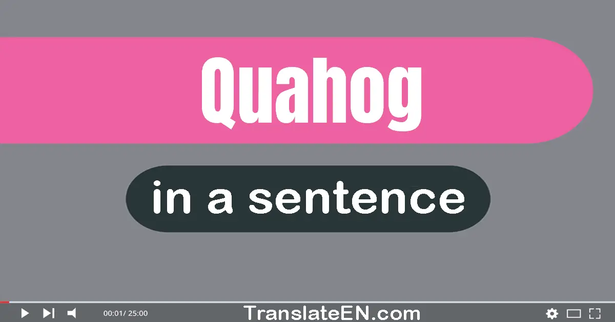 Quahog in a sentence