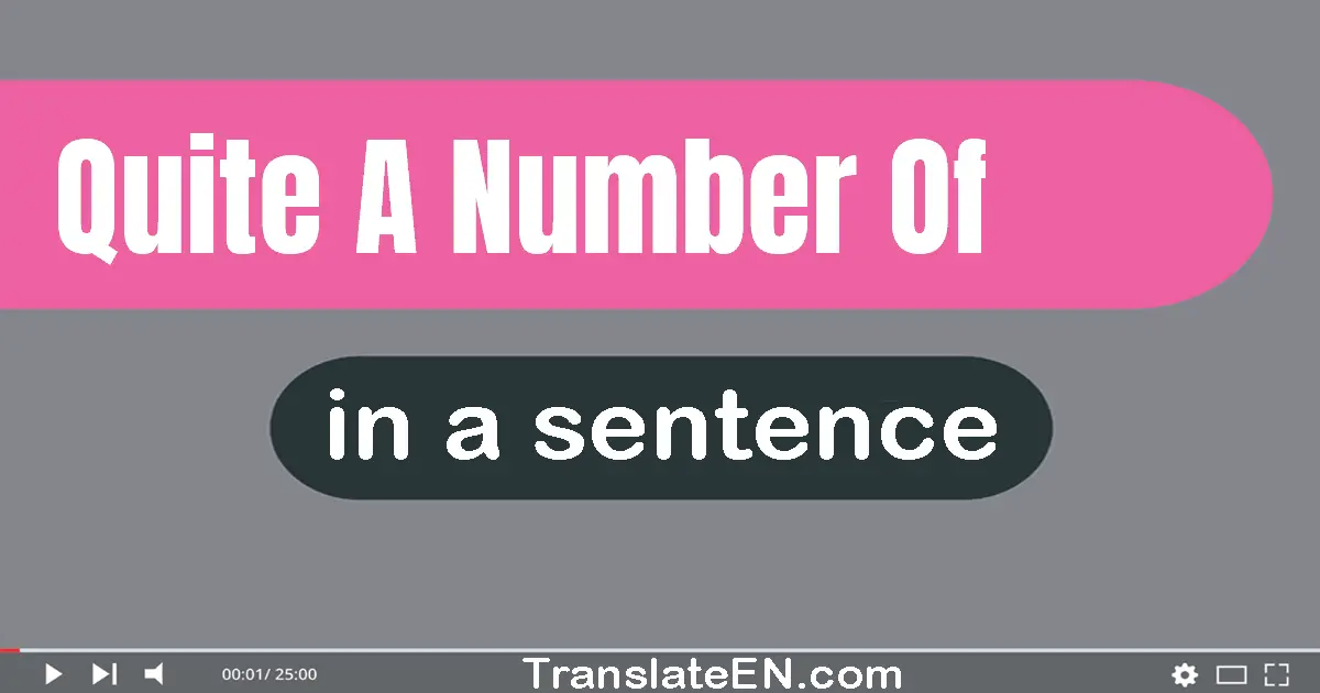 Use "quite a number of" in a sentence | "quite a number of" sentence examples