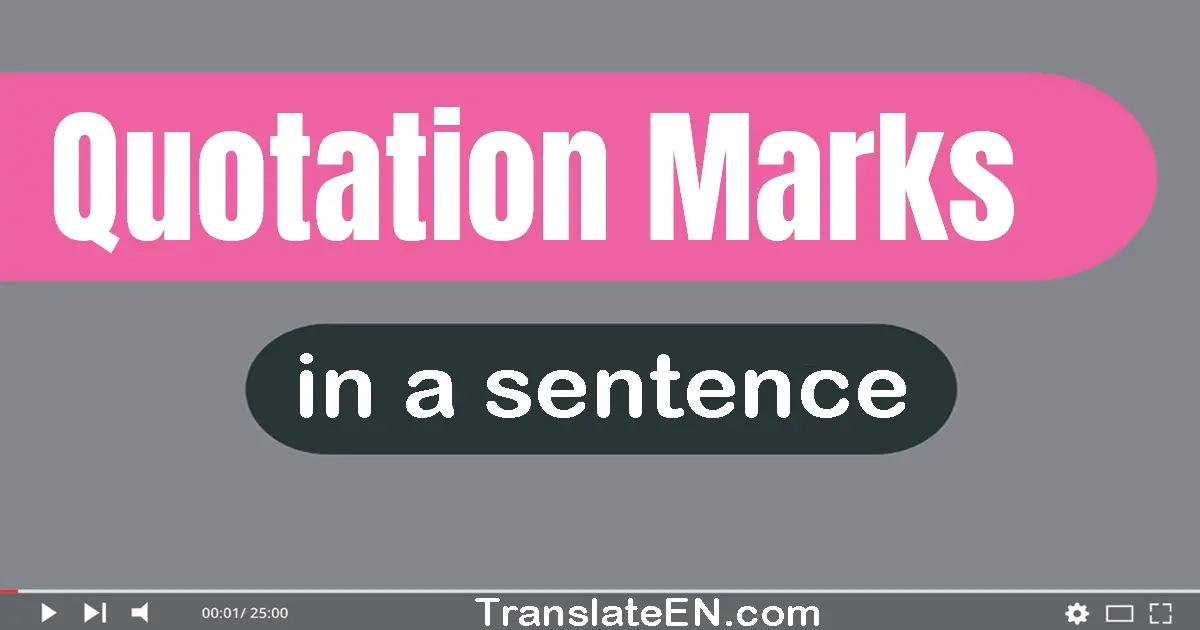 Quotation Marks in a sentence