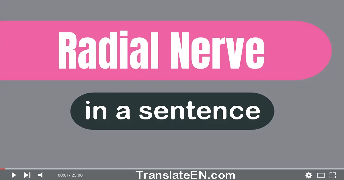 Radial Nerve in a sentence