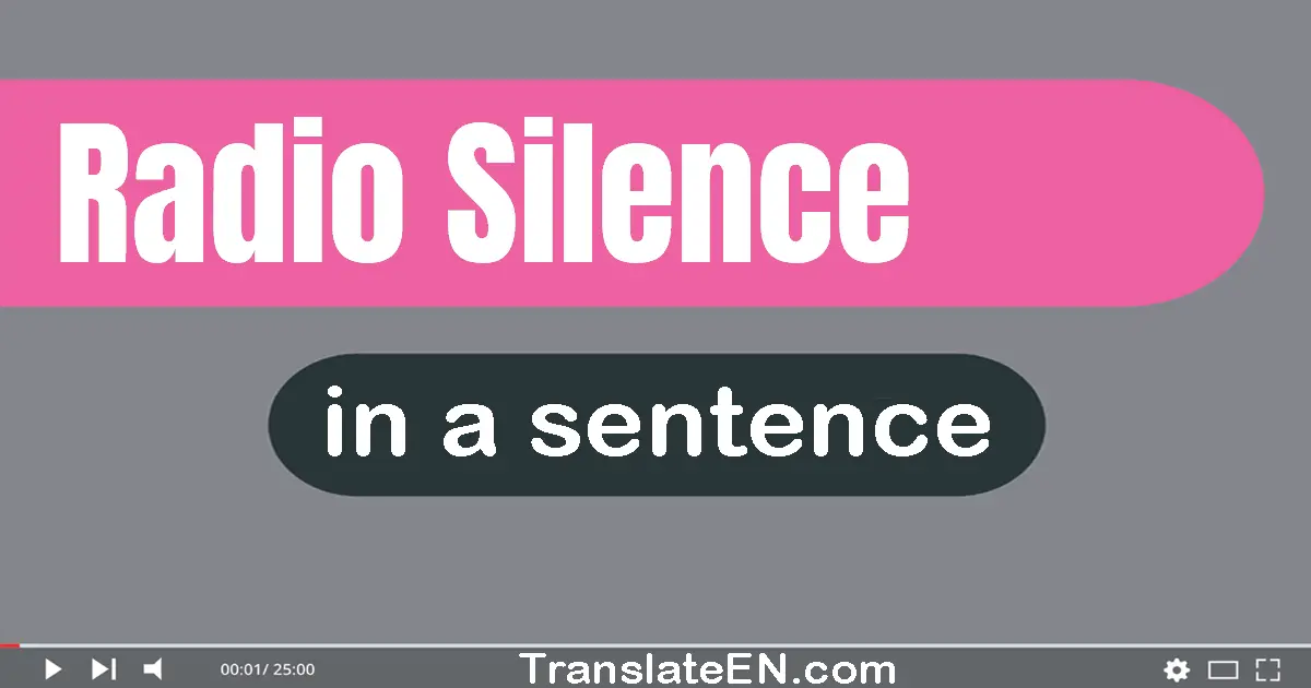 Use "radio silence" in a sentence | "radio silence" sentence examples