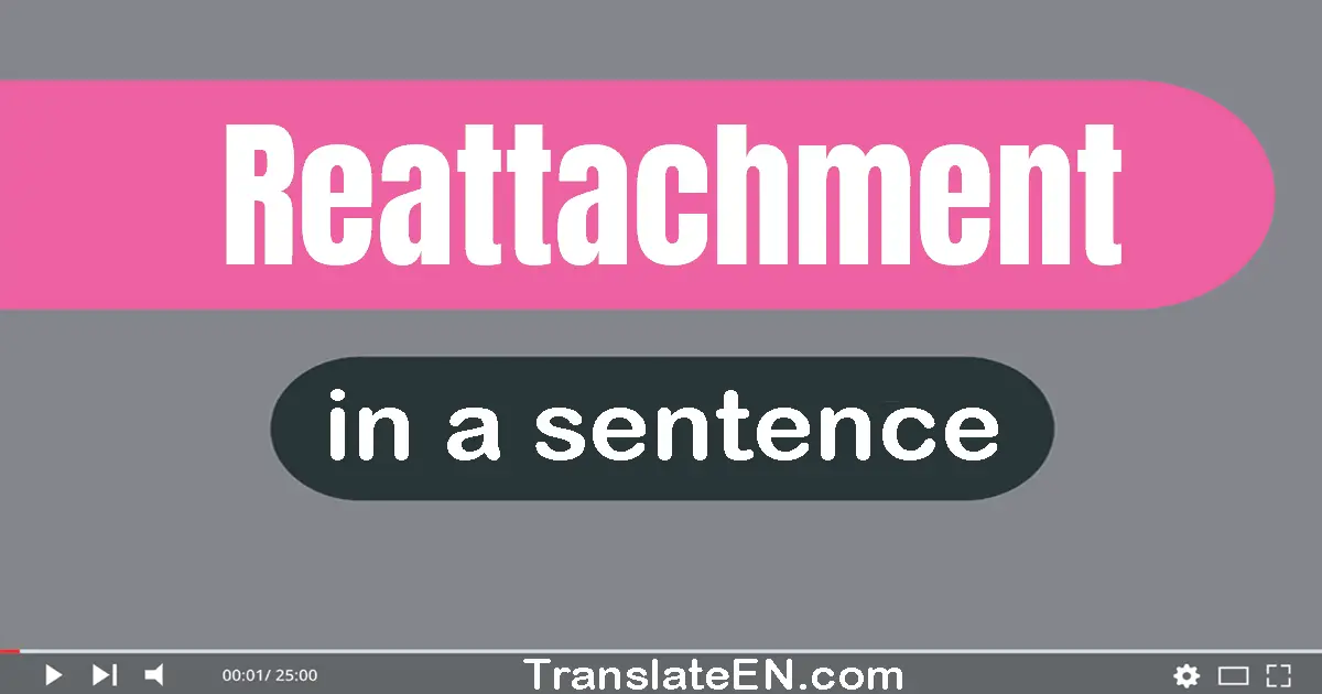 Use "reattachment" in a sentence | "reattachment" sentence examples
