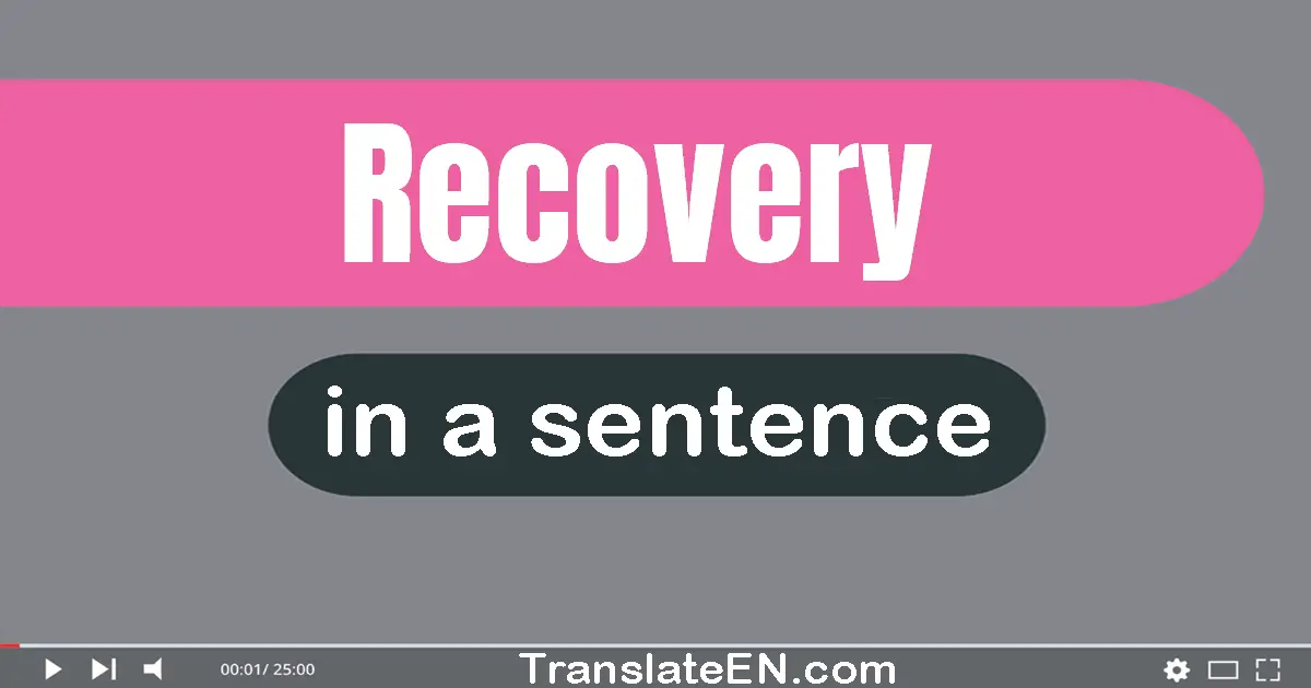 Use "recovery" in a sentence | "recovery" sentence examples