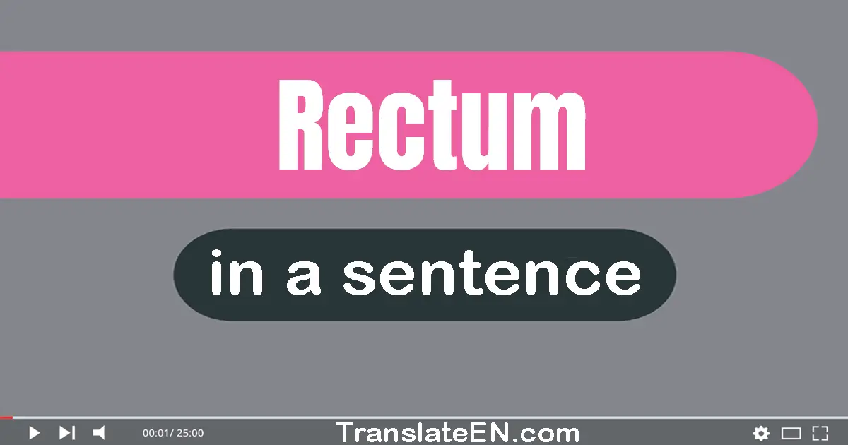 Rectum in a sentence