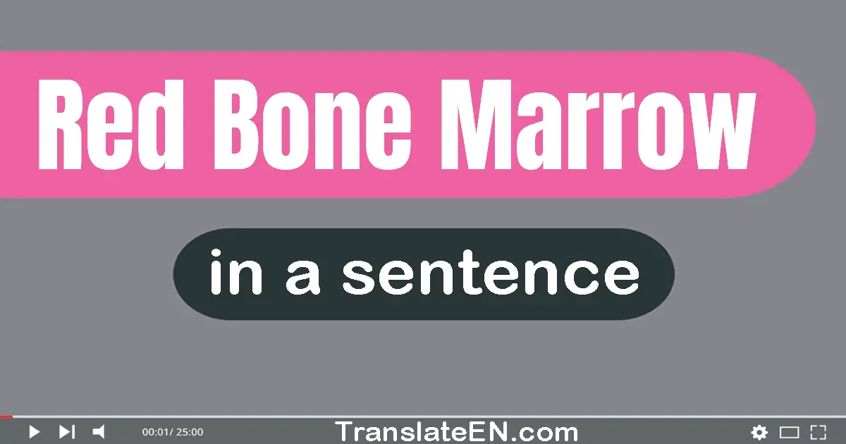 Red Bone Marrow in a sentence