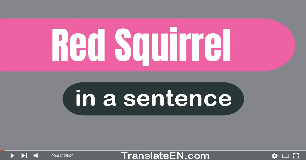 Red Squirrel in a sentence