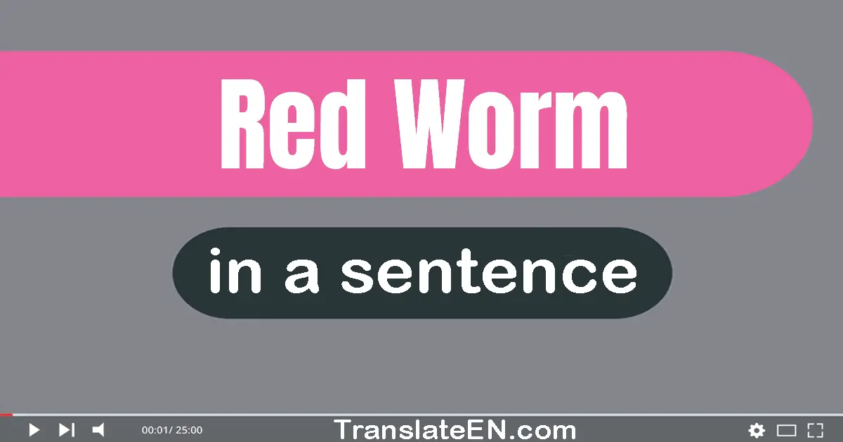 Red Worm in a sentence