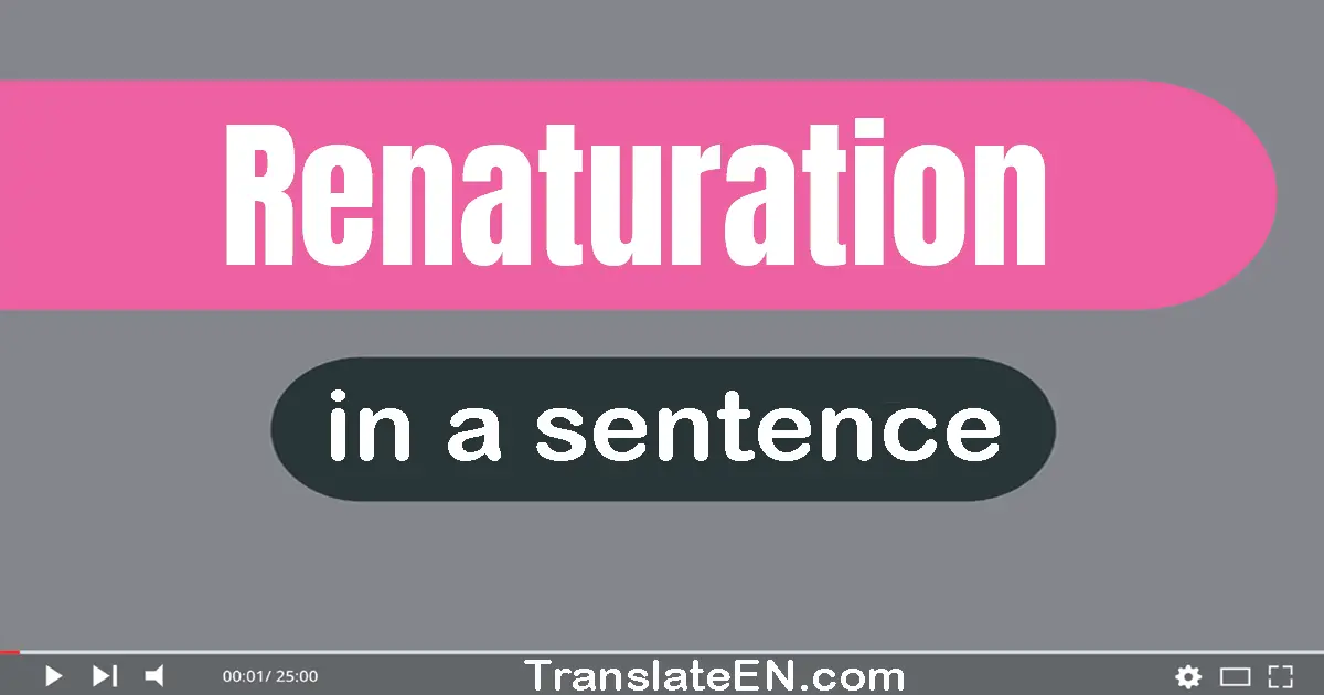 Use "renaturation" in a sentence | "renaturation" sentence examples