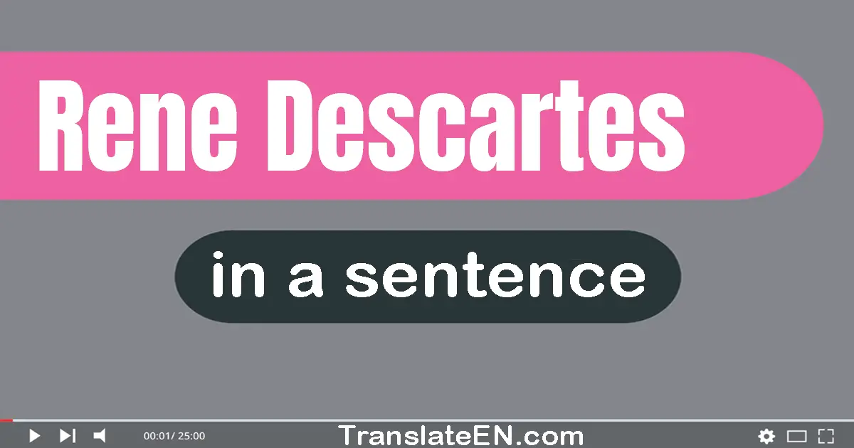Use "rene descartes" in a sentence | "rene descartes" sentence examples