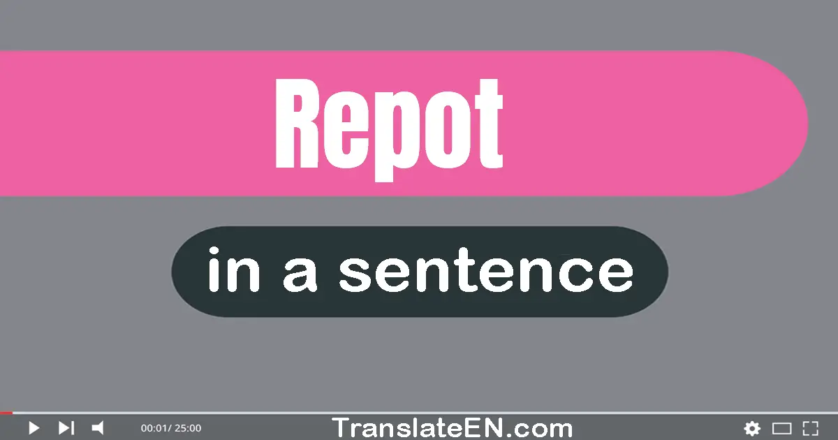Use "repot" in a sentence | "repot" sentence examples