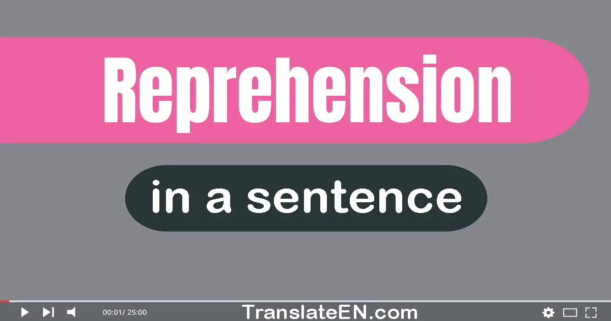 Use "reprehension" in a sentence | "reprehension" sentence examples
