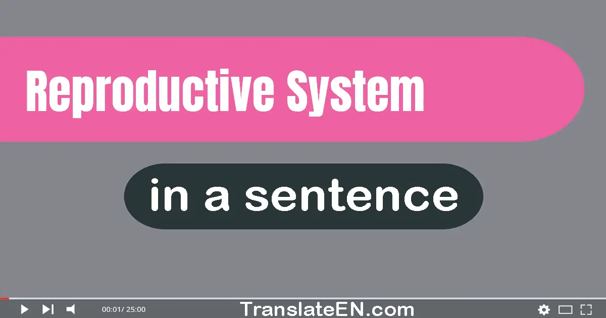 Use "reproductive system" in a sentence | "reproductive system" sentence examples
