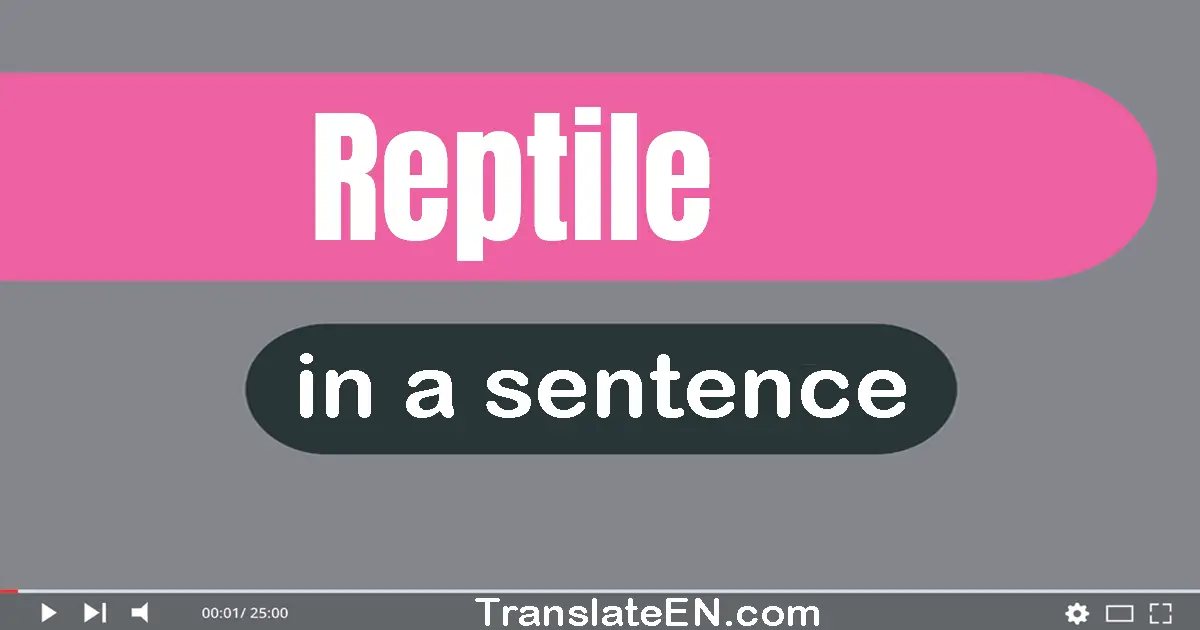 Reptile in a sentence