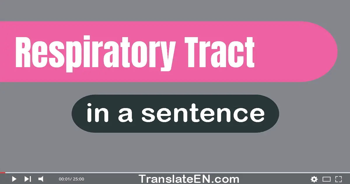 Respiratory Tract in a sentence