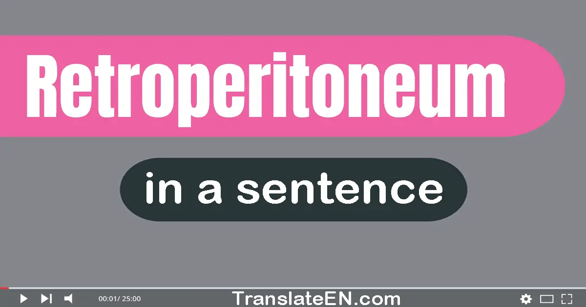 Retroperitoneum in a sentence