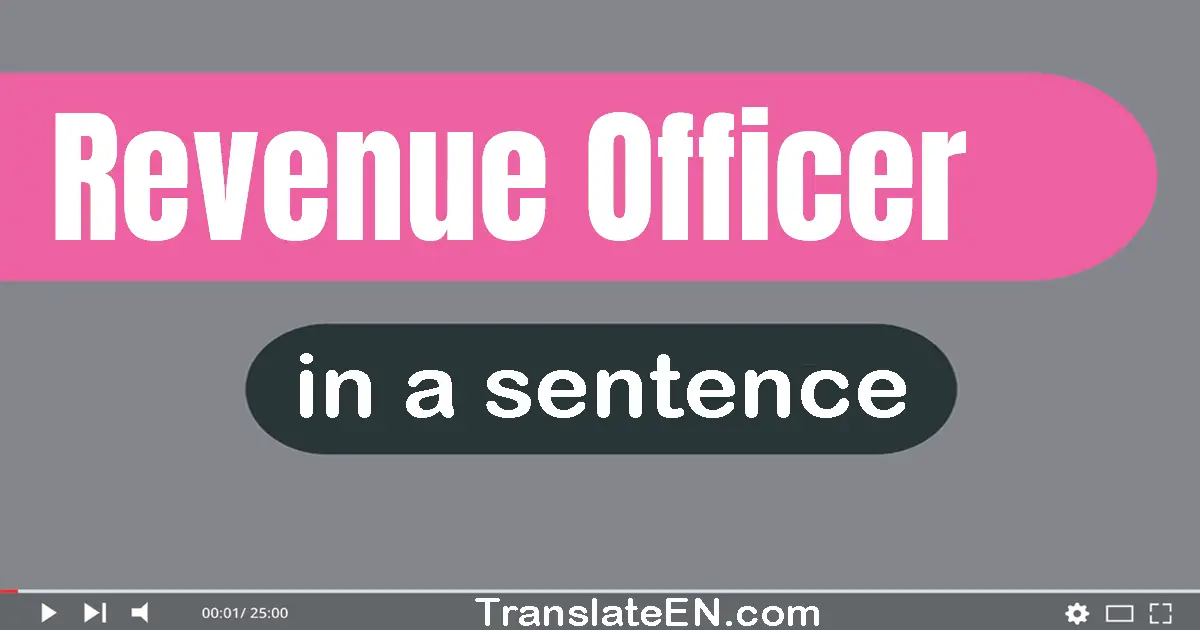 Revenue Officer in a sentence