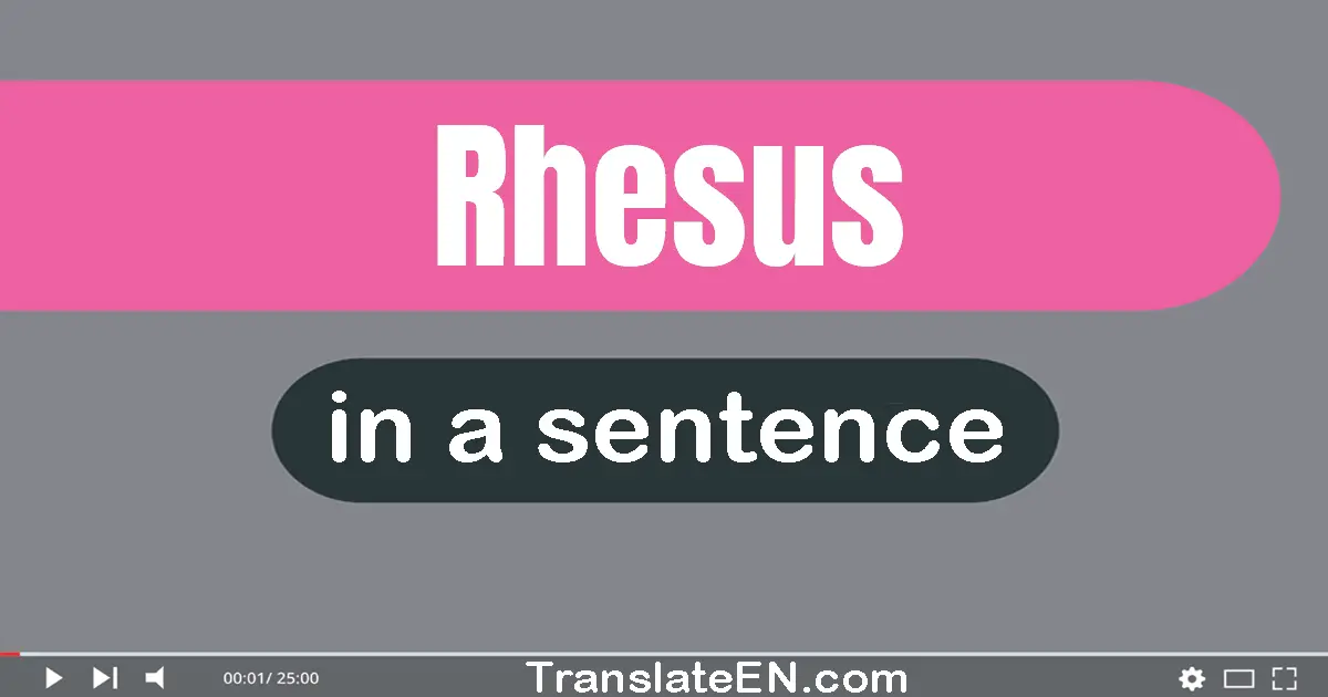 Rhesus in a sentence