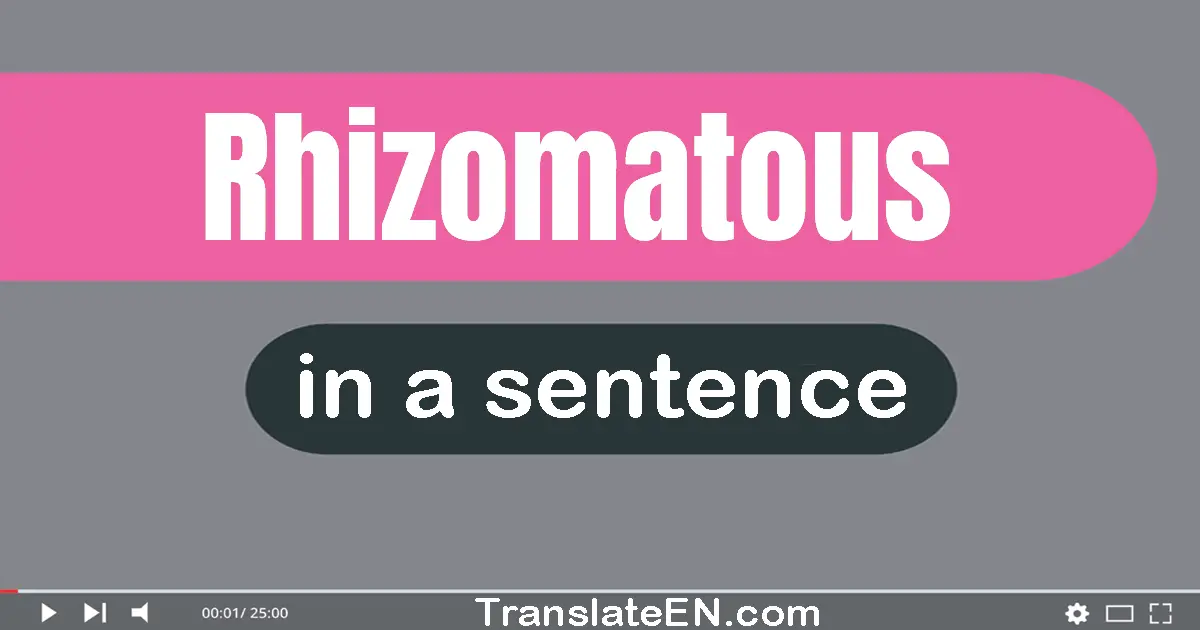 Use "rhizomatous" in a sentence | "rhizomatous" sentence examples