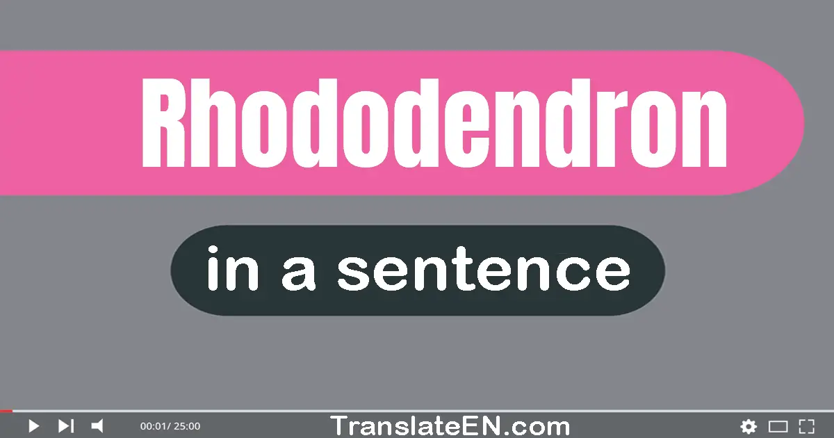 Use "rhododendron" in a sentence | "rhododendron" sentence examples