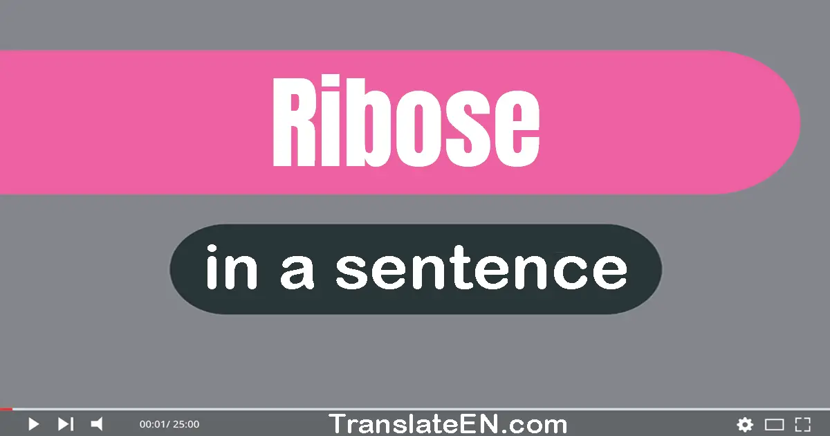 Ribose in a sentence