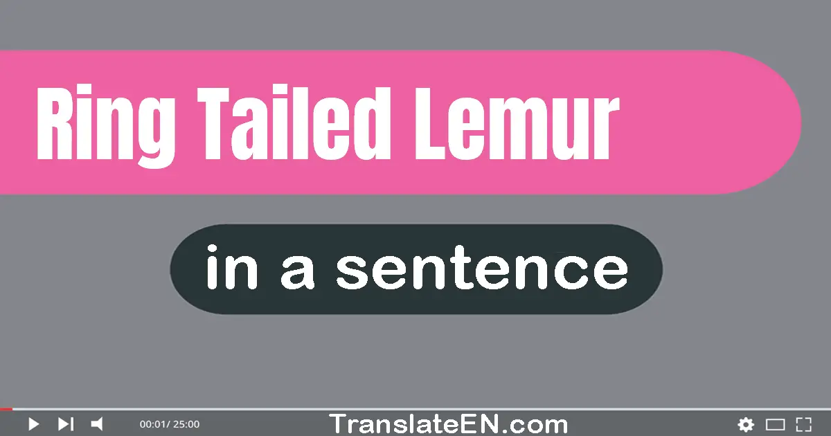 Ring-tailed Lemur in a sentence