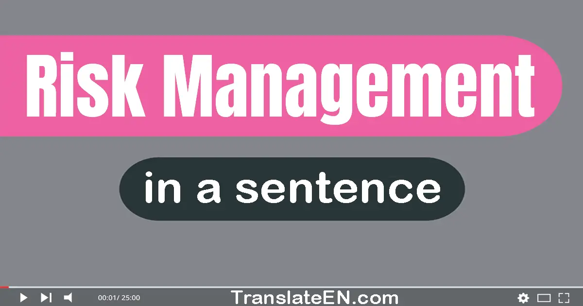 Risk Management in a sentence