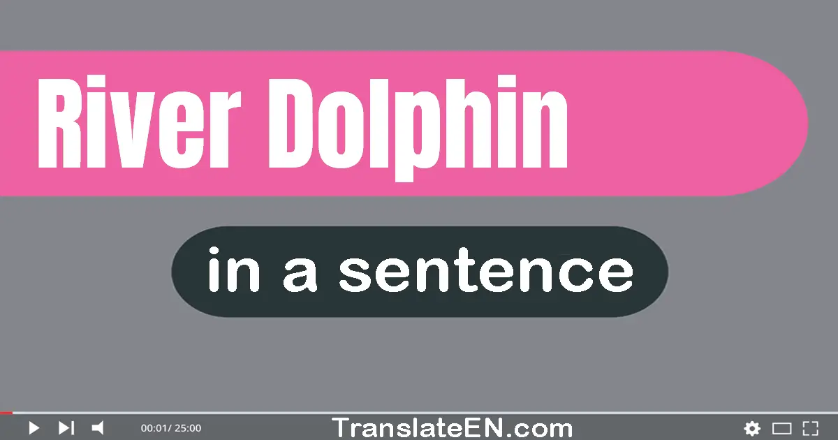 River Dolphin in a sentence