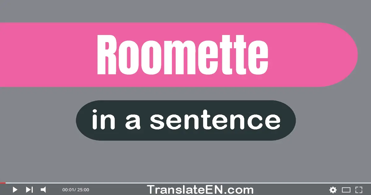 Use "roomette" in a sentence | "roomette" sentence examples