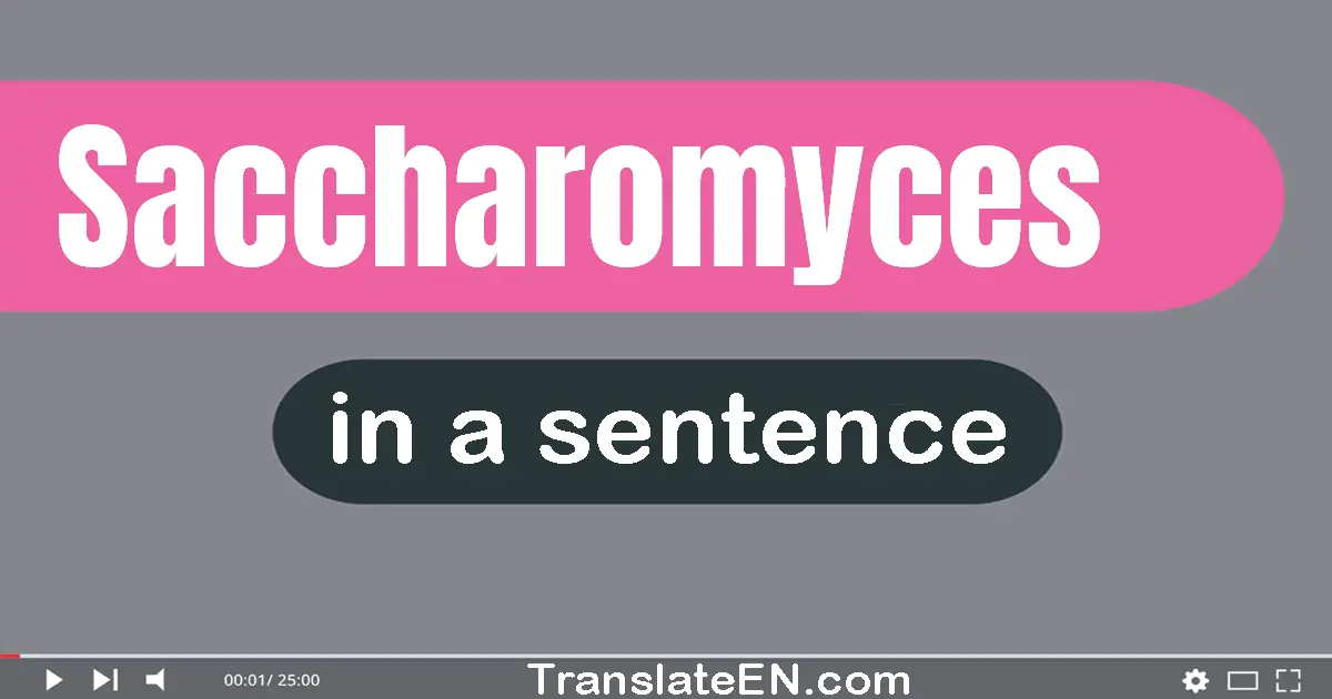 Saccharomyces in a sentence