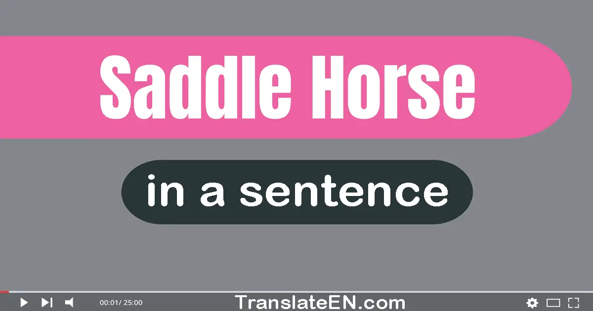 use-saddle-horse-in-a-sentence