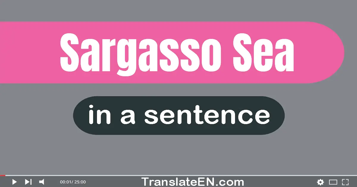 Sargasso Sea in a sentence