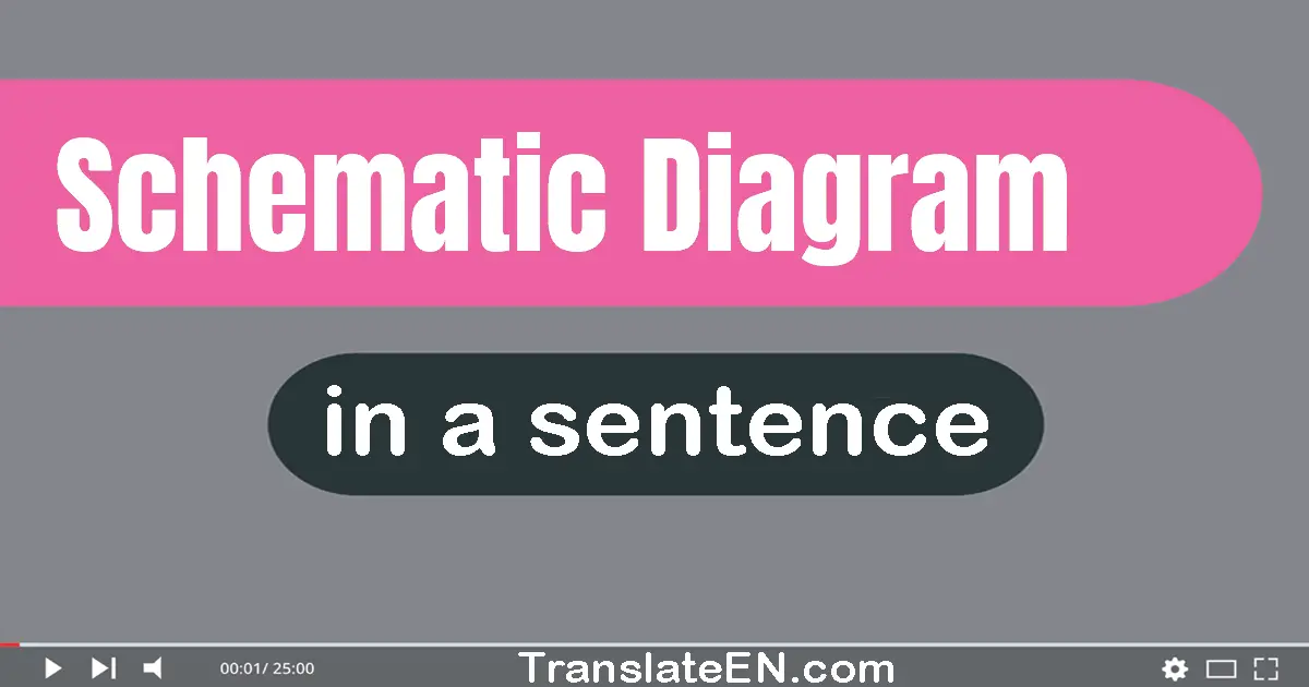 Use "schematic diagram" in a sentence | "schematic diagram" sentence examples
