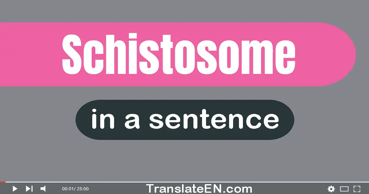 Schistosome in a sentence