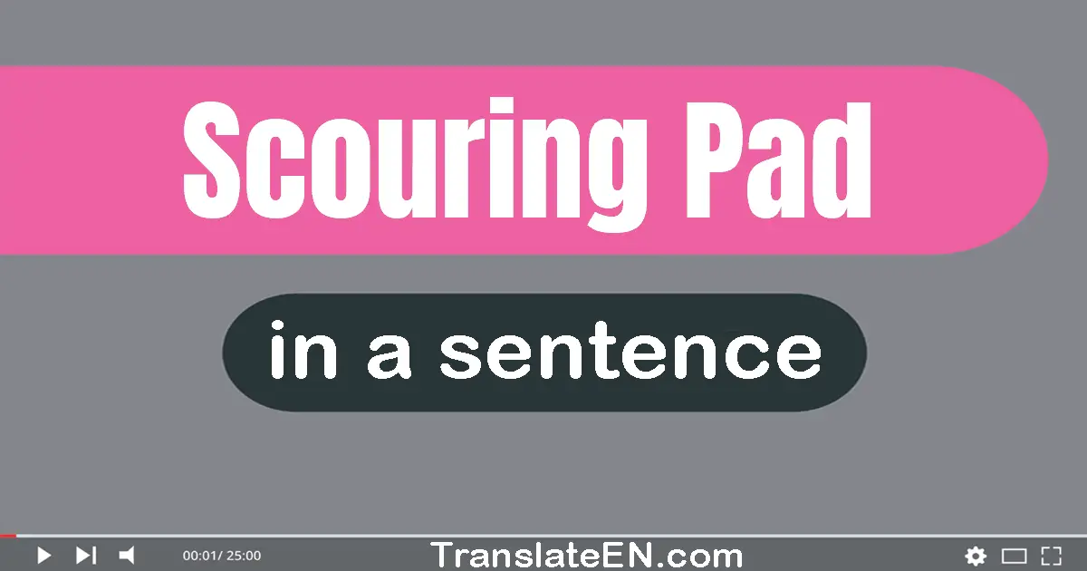 Scouring Pad in a sentence