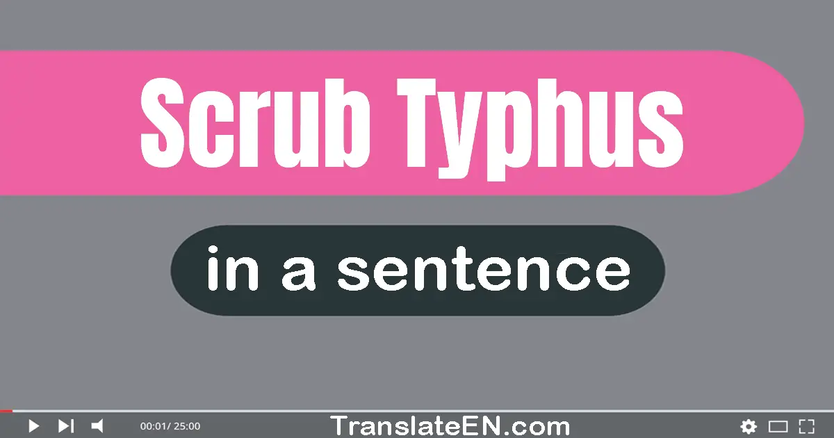 Scrub Typhus in a sentence