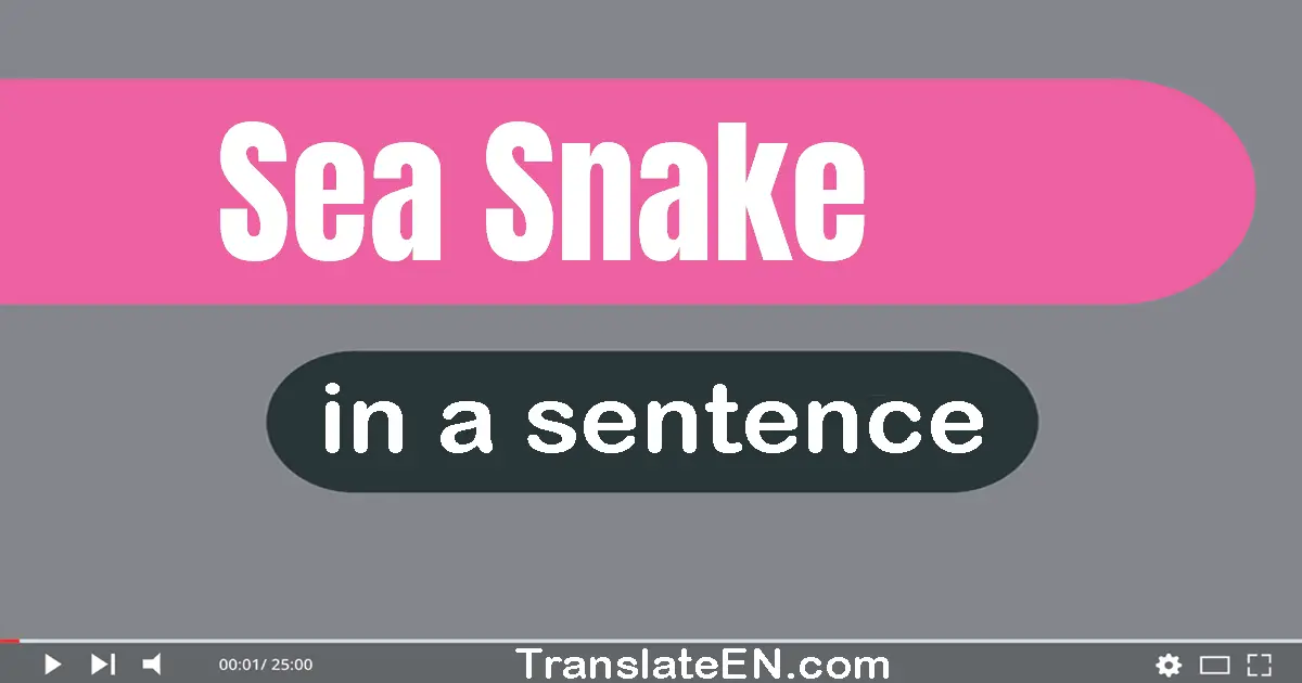 Use "sea snake" in a sentence | "sea snake" sentence examples