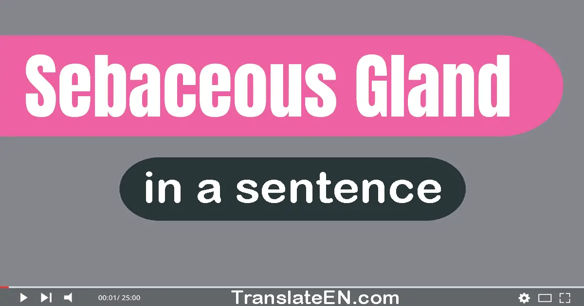 Sebaceous Gland in a sentence