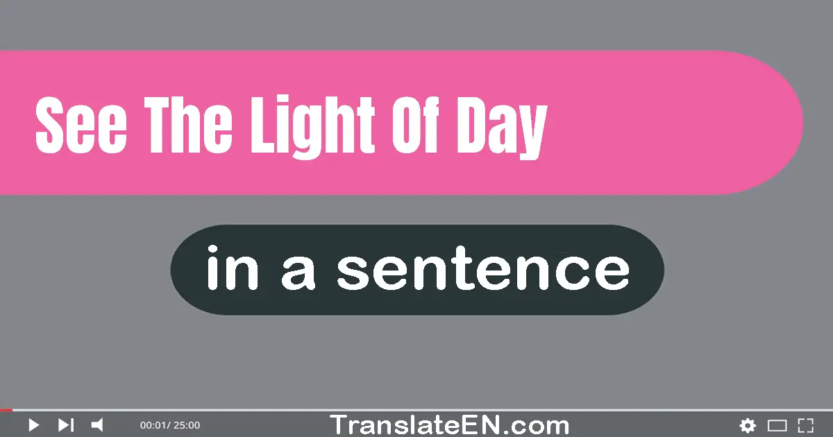 See The Light Of Day in a sentence